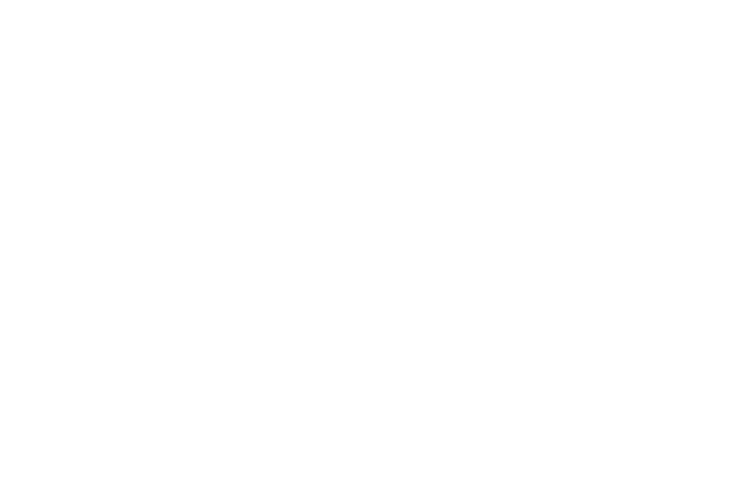 Texas A&M University logo white