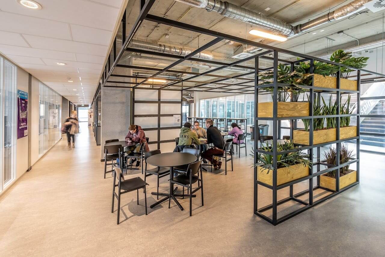 A relaxed, Resimercial office space with plants